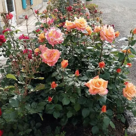 La Vigneronne Villelongue-d'Aude