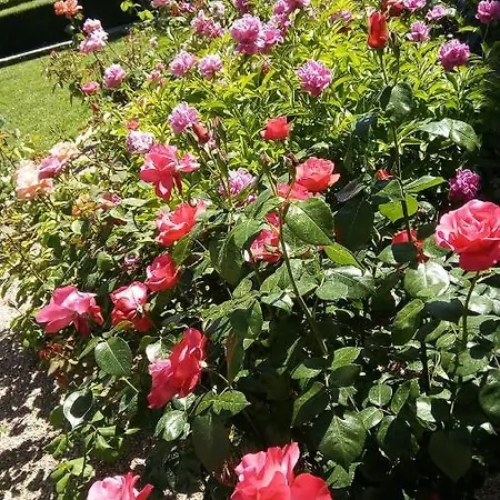 La Vigneronne Bed & Breakfast