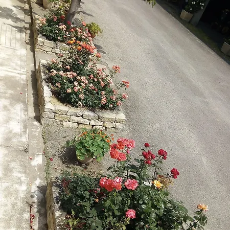 La Vigneronne 3*